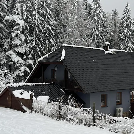 Apartman U Vachtu - Studio
